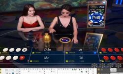 Top 10 nhà cái uy tín chơi xóc đĩa cơ hội thắng lớn dễ dàng