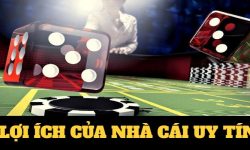 Nhacai24h.net – Trang lựa chọn nhà cái uy tín cho bạn