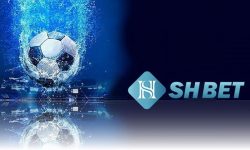 Giới thiệu SHBET – Nền tảng cá cược uy tín và chất lượng Giới thiệu SHBET – Nền tảng cá cược uy tín và chất lượng