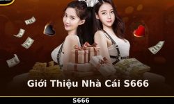 Hướng dẫn đăng nhập vào nhà cái S666