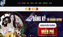 Quy trình đăng ký an toàn tại nhà cái Sky88 trong năm 2024