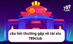 Câu Hỏi Thường Gặp 789 club – Tìm Hiểu Tất Cả Những Điều Cần Biết