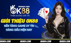 Giới thiệu OK88 – Nền tảng game uy tín hàng đầu hiện nay