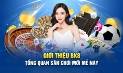 Nhà cái BK8 Nền tảng lô đề online uy tín và hấp dẫn hàng đầu