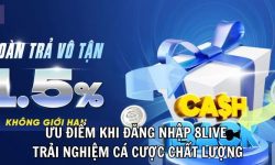 Nạp Tiền 8live – Hướng Dẫn Cách Nạp Tiền Nhanh Chóng và An Toàn Nạp Tiền 8live – Hướng Dẫn Cách Nạp Tiền Nhanh Chóng và An Toàn