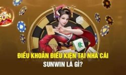 Những Điều Bạn Chưa Biết Về Điều Khoản Điều Kiện Sunwin