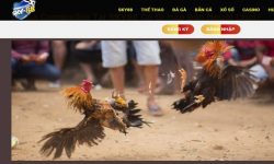 Sky88 – Giải Đáp Câu Hỏi Thường Gặp Khi Tải App Năm 2025 Sky88 – Giải Đáp Câu Hỏi Thường Gặp Khi Tải App Năm 2025