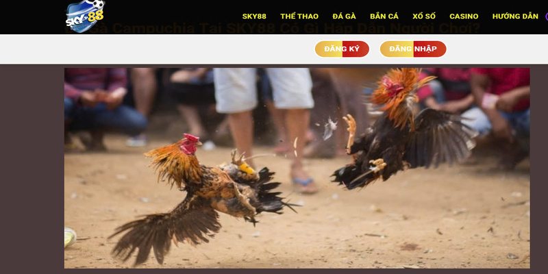 ban phai biet den ly do nen su dung app sky88 ban phai biet den ly do nen su dung app sky88