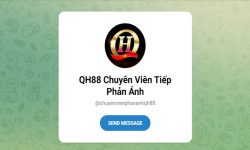 Đội ngũ chăm sóc khách hàng của QH88 – Hỗ trợ 24/7 Đội ngũ chăm sóc khách hàng của QH88 – Hỗ trợ 24/7
