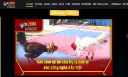 Đăng Ký Cpc2888 Chi Tiết Và Câu Hỏi Thường Gặp Năm 2025 Đăng Ký Cpc2888 Chi Tiết Và Câu Hỏi Thường Gặp Năm 2025