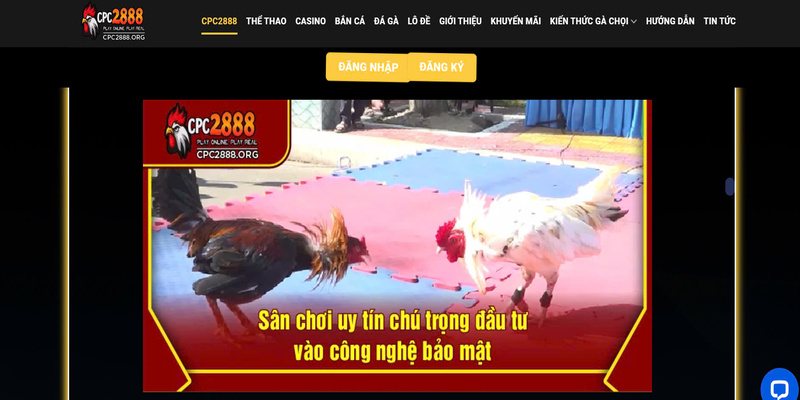 cpc 2888 co the giup ban thay doi thong tin neu thoa dieu kien