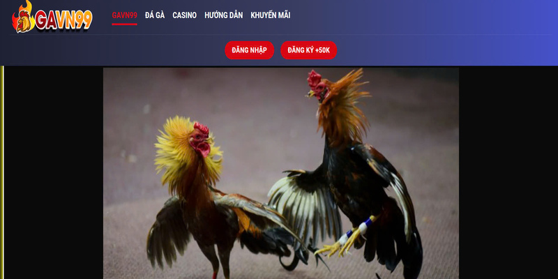 da dang dieu kien phai biet khi tao nick gavn99 da dang dieu kien phai biet khi tao nick gavn99