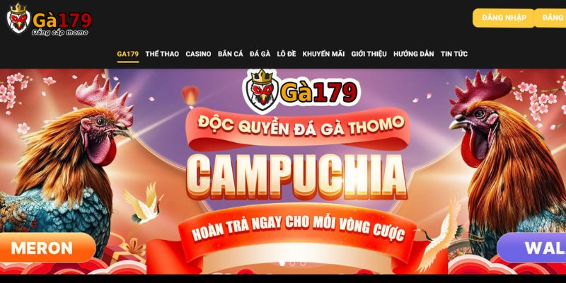 hay chac chan nhung thong tin ban nhap can phai chinh xac tuyet doi