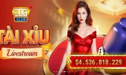 Tại Sao Chọn Sin88 Làm Nhà Cái Cá Cược Uy Tín Năm 2025 Tại Sao Chọn Sin88 Làm Nhà Cái Cá Cược Uy Tín Năm 2025