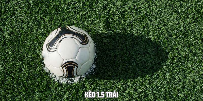 keo tai xiu 1 5 trai
