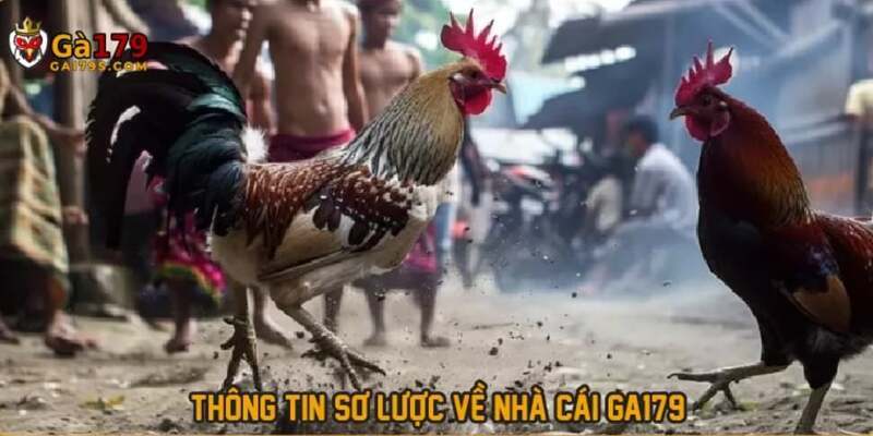 nha cai ga179 xanh chin 2025