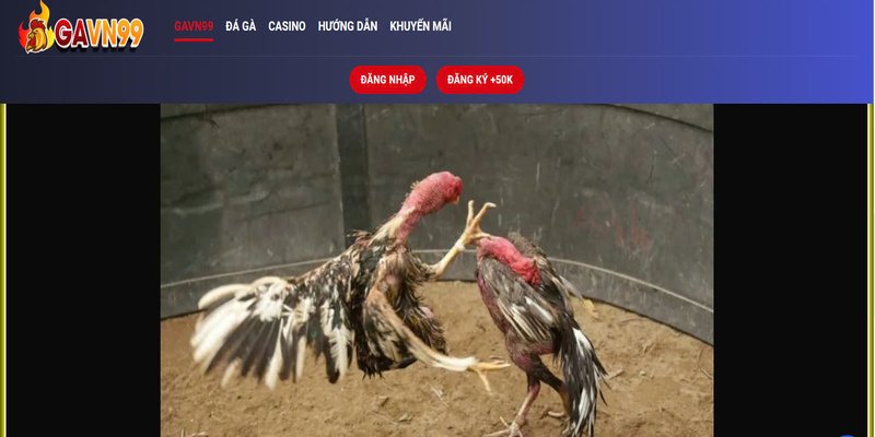 nhieu ly do vi sao dang ky tai gavn 99 lai de dang nhieu ly do vi sao dang ky tai gavn 99 lai de dang