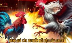 Tại Sao Nhà Cái GA179 Lại Được Yêu Thích Trong Năm 2025 Tại Sao Nhà Cái GA179 Lại Được Yêu Thích Trong Năm 2025