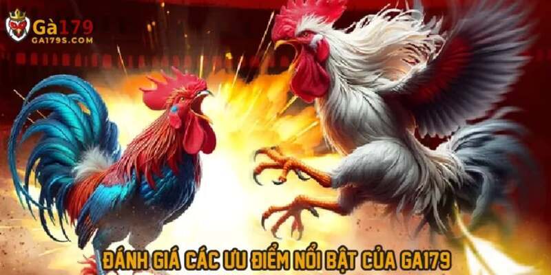 nhung uu viet co 102 tai nha cai hien nay