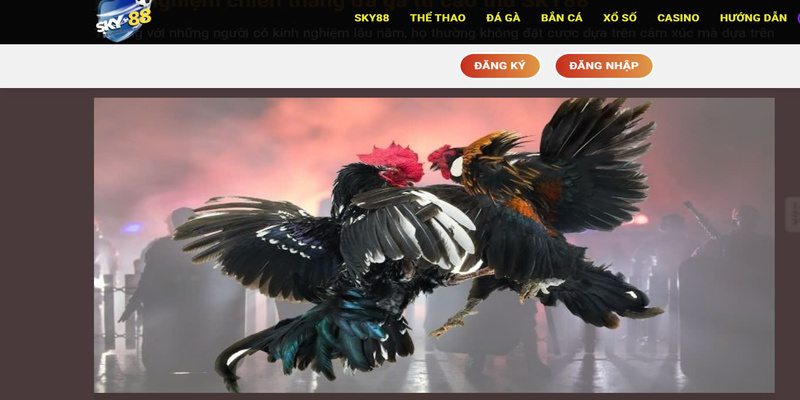 tai ung dung sky 88 khong mat bat ky phi nao tai ung dung sky 88 khong mat bat ky phi nao