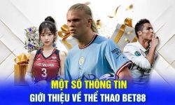 Thể Thao bet88 – Địa Điểm Cá Cược Trực Tuyến Hot Nhất 2025 Thể Thao bet88 – Địa Điểm Cá Cược Trực Tuyến Hot Nhất 2025