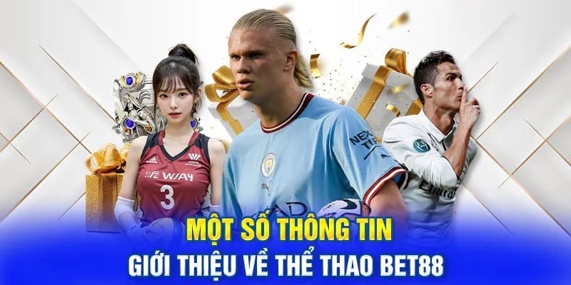 the thao bet88 la gi