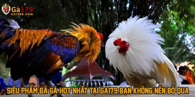 tuan thu cac quy dinh tu nha cai hien nay