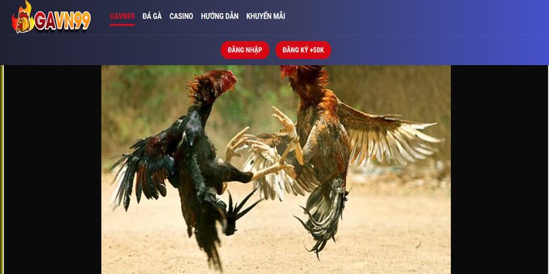 xac nhan moi du lieu voi nha cai gavn 99 xac nhan moi du lieu voi nha cai gavn 99